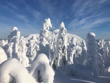 Проживание и рыбалка на базе в Карелии