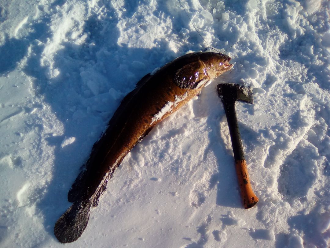 Рыбалка на озере Пяозеро в Карелии